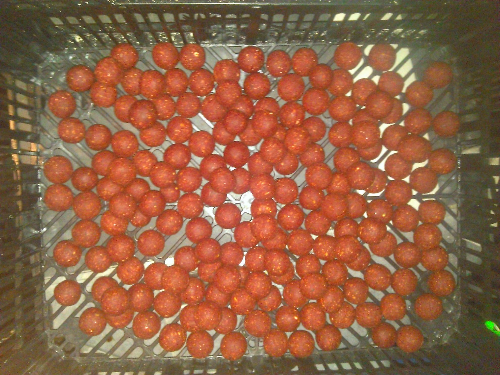 1016 - greul a trecut